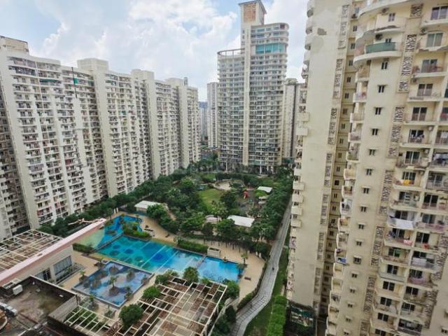 3 BHK Apartment in Sector 78 for resale Noida. The reference number is 19986464
