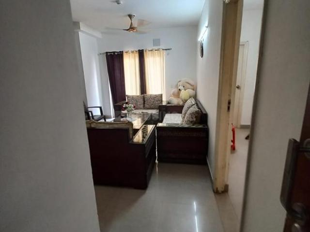 3 BHK Apartment in Sector 79 for resale Gurgaon. The reference number is 20365228