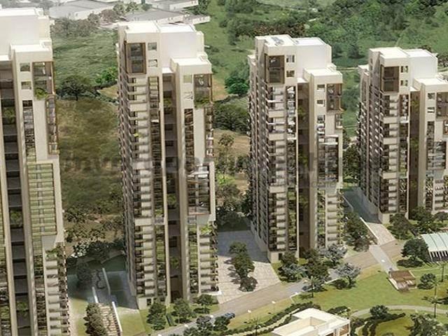 3 BHK Apartment in Sector 72 for rent Gurgaon. The reference number is 19937493
