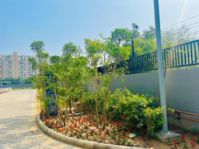 3 BHK Apartment in Sector 85 for resale Gurgaon. The reference number is 19803240