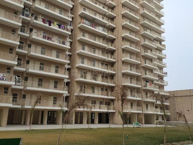 3 BHK Apartment in Sector 85 for resale Faridabad. The reference number is 20888881