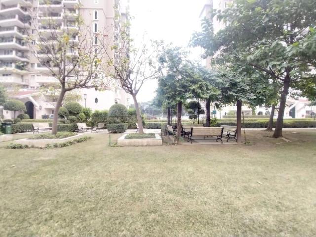 3 BHK Apartment in Sector 86 for rent Gurgaon. The reference number is 20586952