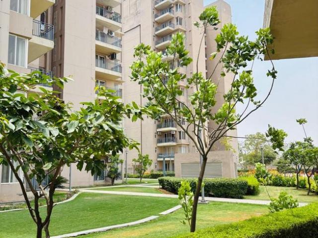 3 BHK Apartment in Sector 89 for rent Gurgaon. The reference number is 20262261