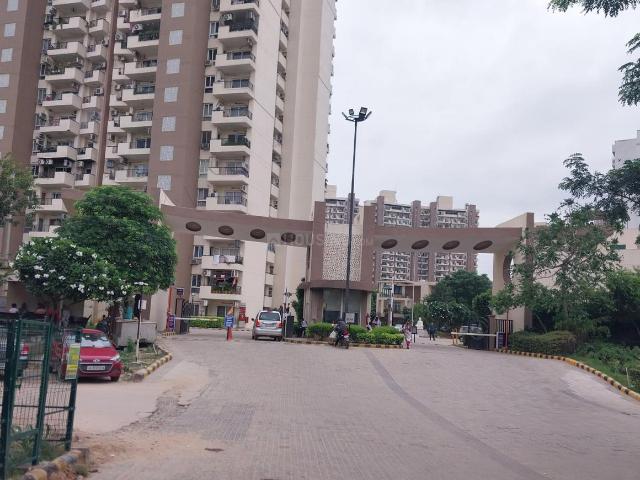 3 BHK Apartment in Sector 82 for rent Gurgaon. The reference number is 20159916