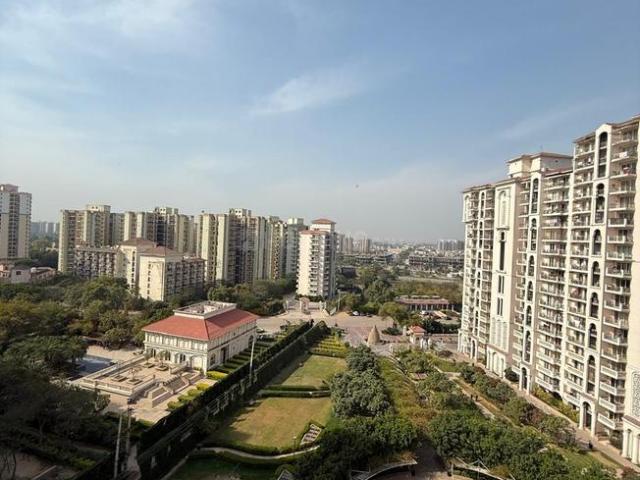 3 BHK Apartment in Sector 90 for rent Gurgaon. The reference number is 20309502