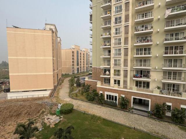3 BHK Apartment in Sector 91 for resale Sahibzada Ajit Singh Nagar. The reference number is 16261977