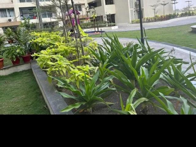 3 BHK Apartment in Shankar Nagar for rent Raipur. The reference number is 20602485