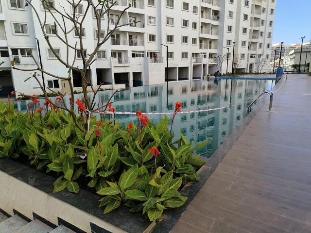 3 BHK Apartment in Subramanyapura for resale Bengaluru. The reference number is 14810068