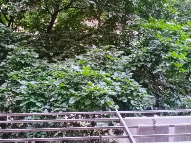 3 BHK Apartment in Patparganj for resale New Delhi. The reference number is 20346750