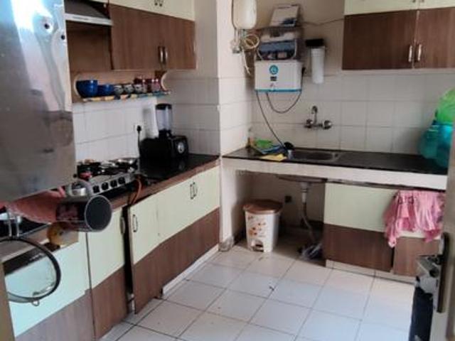 3 BHK Apartment in Palam Vihar for rent Gurgaon. The reference number is 10778226