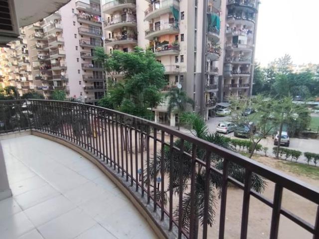 3 BHK Apartment in Peer Muchalla for rent Zirakpur. The reference number is 20538617