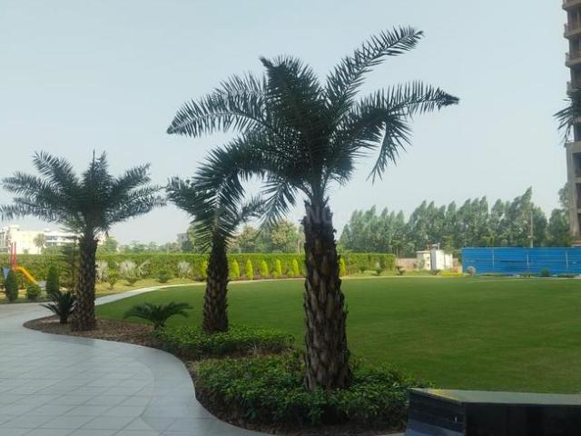 3 BHK Apartment in Peer Muchalla for resale Zirakpur. The reference number is 20977694