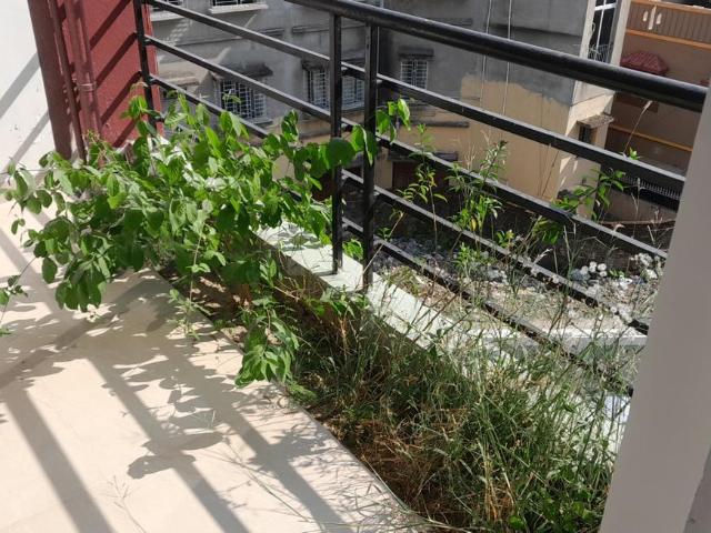3 BHK Apartment in Prince Anwar Shah Connector for resale Kolkata. The reference number is 18698385