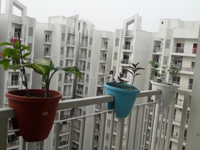 3 BHK Apartment in Raj Nagar Extension for rent Ghaziabad. The reference number is 20067040