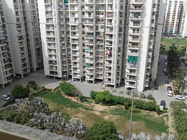 3 BHK Apartment in Raj Nagar Extension for rent Ghaziabad. The reference number is 20105631