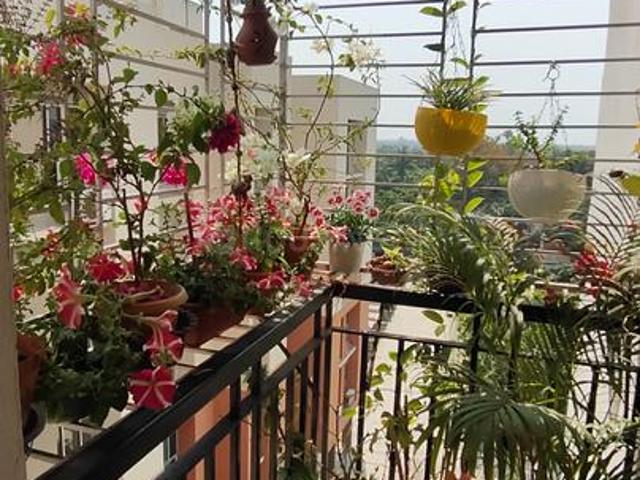 3 BHK Apartment in Rajpur for rent Kolkata. The reference number is 13222978