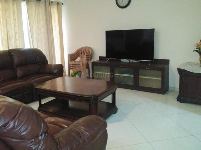 3 BHK Apartment in Whitefield for rent Bengaluru. The reference number is 19957904