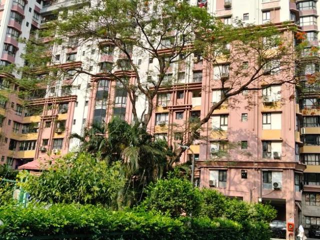 3 BHK Apartment in Tangra for resale Kolkata. The reference number is 20055348