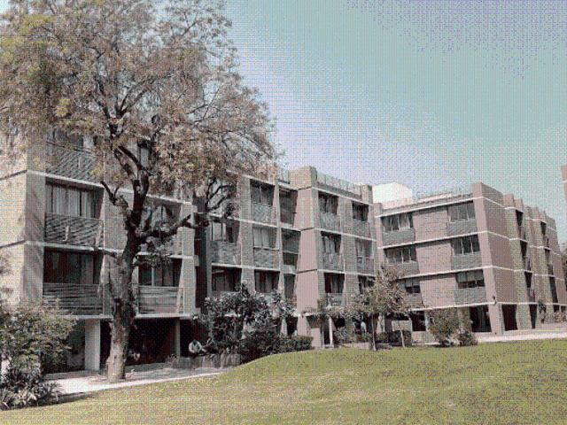 3 BHK Apartment in Thaltej for rent Ahmedabad. The reference number is 19492168