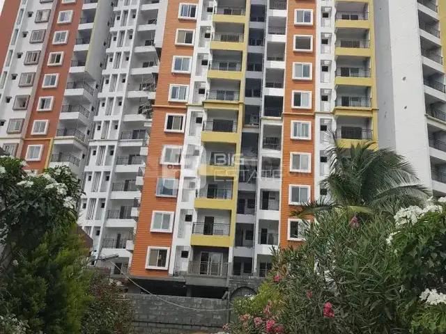 3 BHK Apartment in Thirumalashettyhally for resale Bengaluru. The reference number is 20221056
