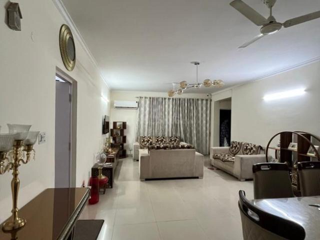 3 BHK Apartment in Vasant Kunj for rent New Delhi. The reference number is 20635175