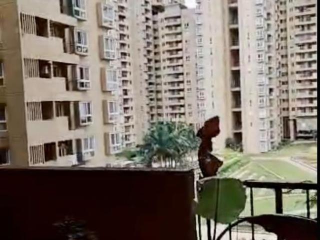 3 BHK Apartment in Yelahanka for resale Bangalore. The reference number is 16119984