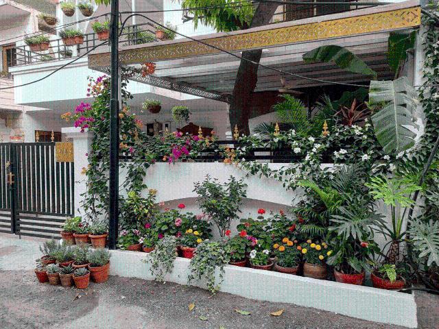 3 BHK Duplex in Hoshangabad Road for rent Bhopal. The reference number is 20767942