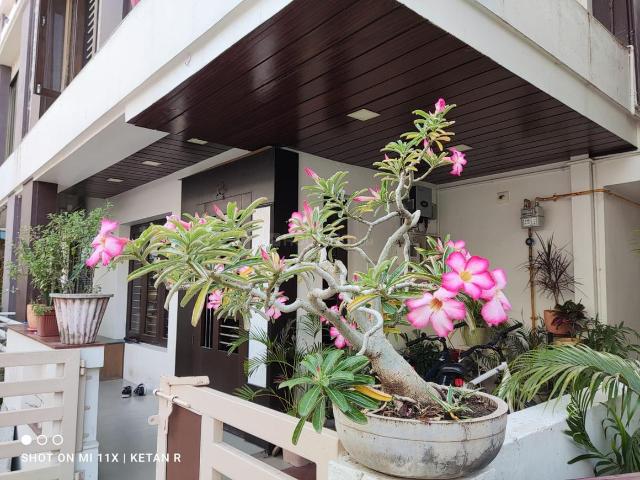 3 BHK Duplex in Harni for rent Vadodara. The reference number is 20245451