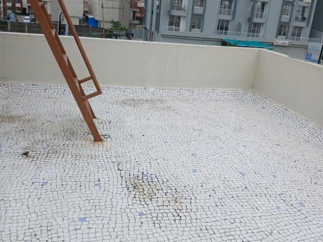 3 BHK Duplex in Waghodia Road for rent Vadodara. The reference number is 20588627