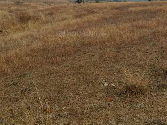 3 BHK Farm House in Maksi for resale Shajapur. The reference number is 19452133