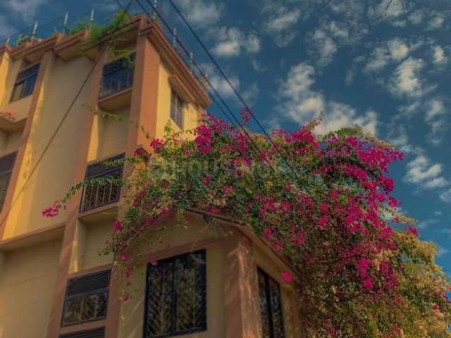 3 BHK Farm House in Maval for resale Lonavala. The reference number is 17124229