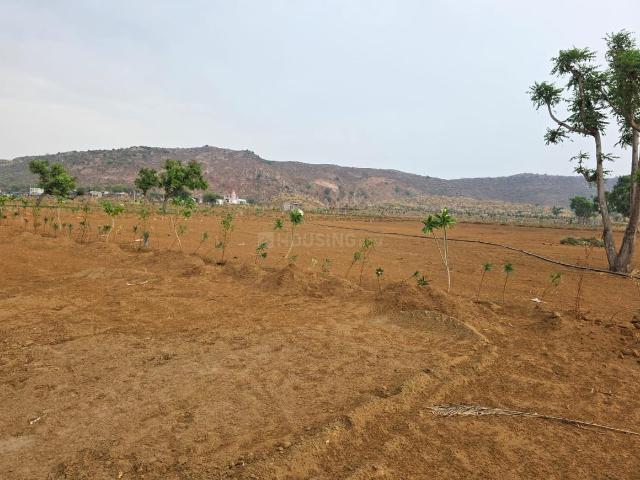 3 BHK Farm House in Kalwad Road for resale Jaipur. The reference number is 17290196