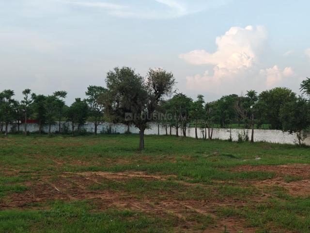 3 BHK Farm House in Kalwad Road for resale Jaipur. The reference number is 20976023
