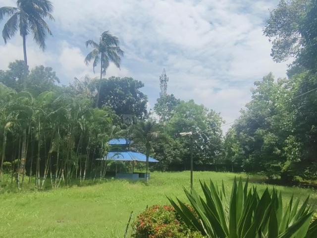 3 BHK Farm House in Rajpur for resale Kolkata. The reference number is 20883114