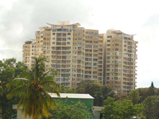 3 BHK Flat for Rent In Hsr Layout