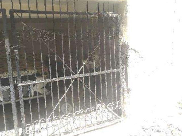 3 BHK Flat for Rent In Palam Vihar Extension