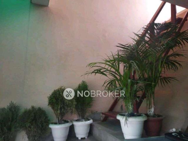 3 BHK Flat For Sale In Rohini