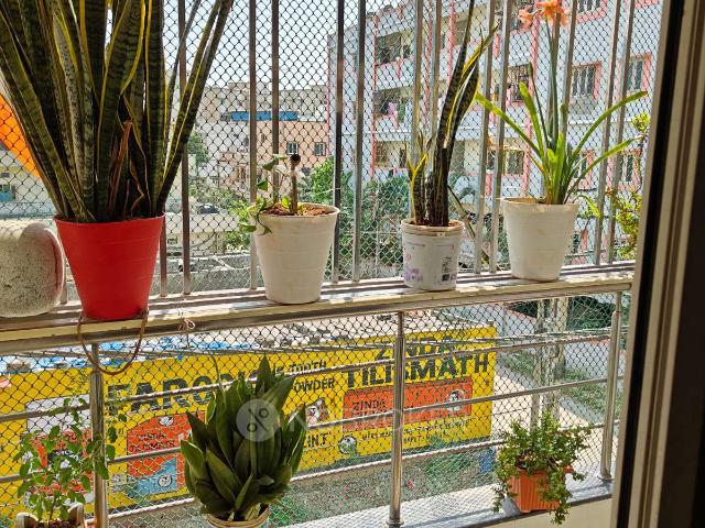 3 BHK Flat In My Home Jewel for Rent In Madeenaguda
