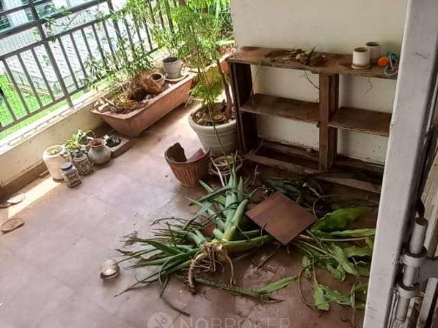 3 BHK Flat In Maangalya Prosper for Rent In J. P. Nagar