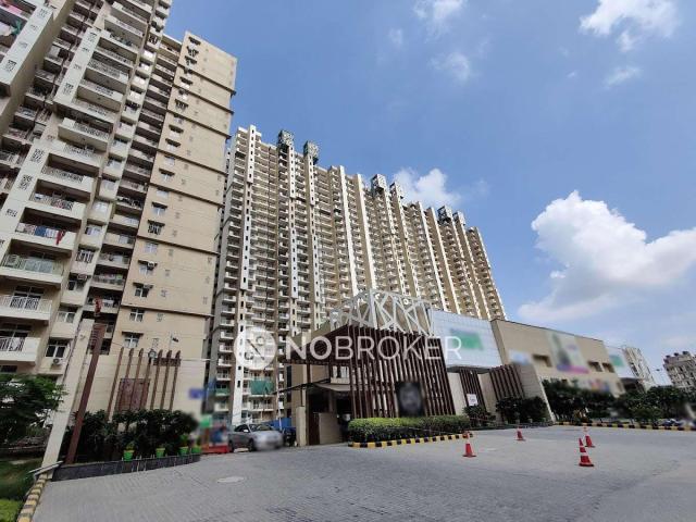 3 BHK Flat In Mahagun Mywoods for Rent In Sector 16c