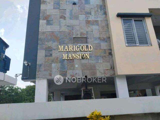 3 BHK Flat In Marigold Mansion for Rent In Hastinapuram