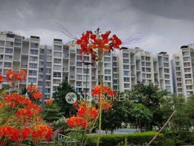 3 BHK Flat In Marvel Fria for Rent In Wagholi