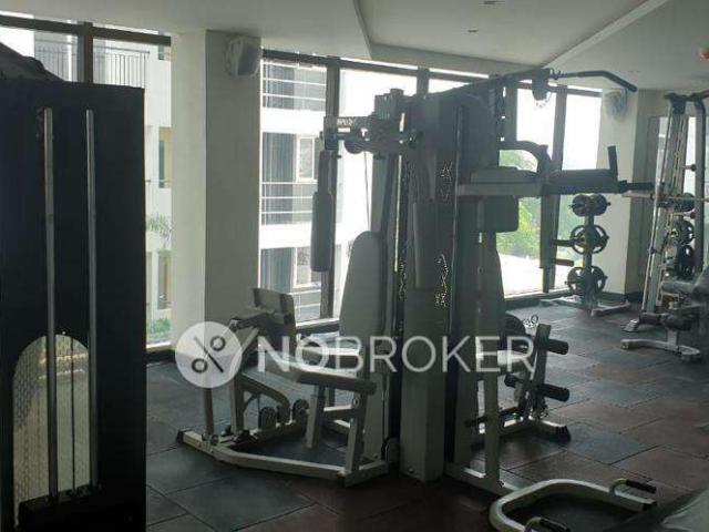 3 BHK Flat In Navins Cedar At Starwood Towers For Sale In M