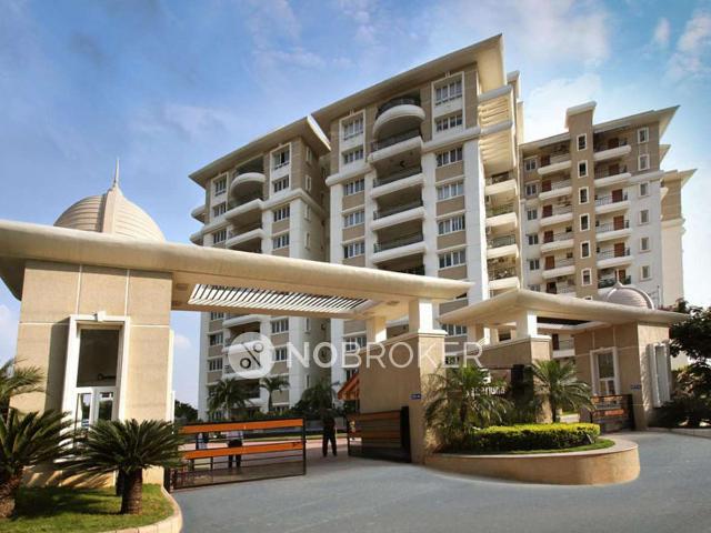3 BHK Flat In Ncc Nagarjuna Residency for Rent In Gachibowli