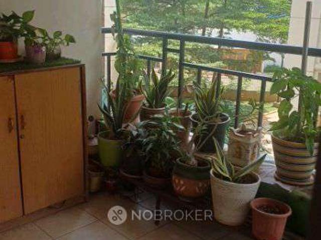 3 BHK Flat In Ncc Nagarjuna Residency for Rent In Gachibowli