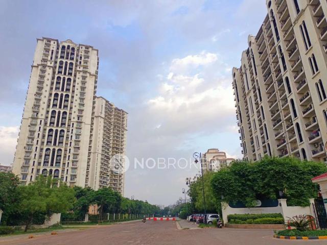 3 BHK Flat In Dlf New Town Heights for Rent In Sector 86