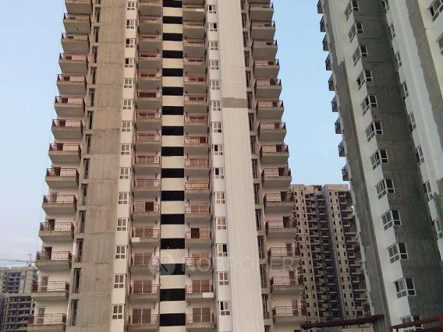 3 BHK Flat In Oyster Grande for Rent In Sector 102