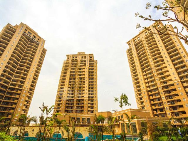 3 BHK Flat In Ats Kocoon for Rent In Sector 109