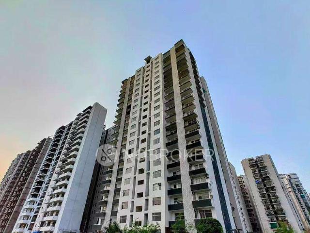 3 BHK Flat In Avs Orchard for Rent In Sector 77
