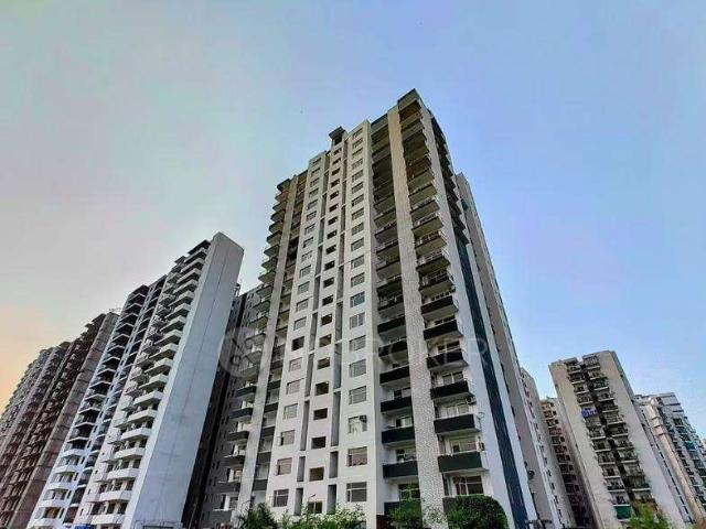 3 BHK Flat In Avs Orchard For Sale In Sector 77